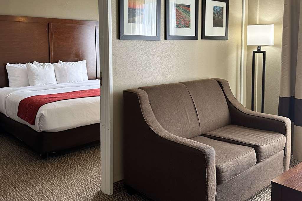 Comfort Suites Airport Charlotte Room photo